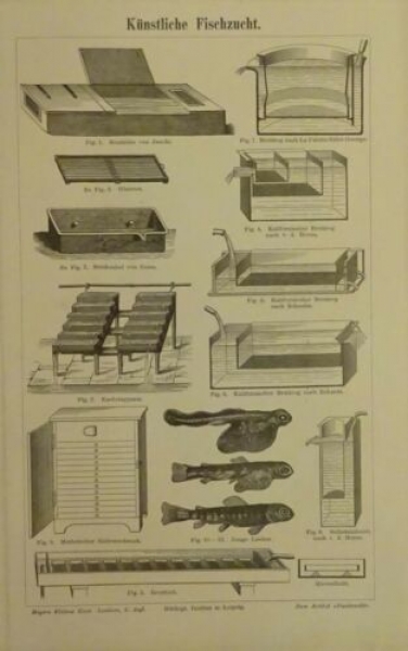 1898 - Künstliche Fischzucht, alter Druck
